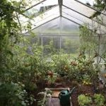 Your Perfect Garden Starts Here: Halls Greenhouses for Sale!