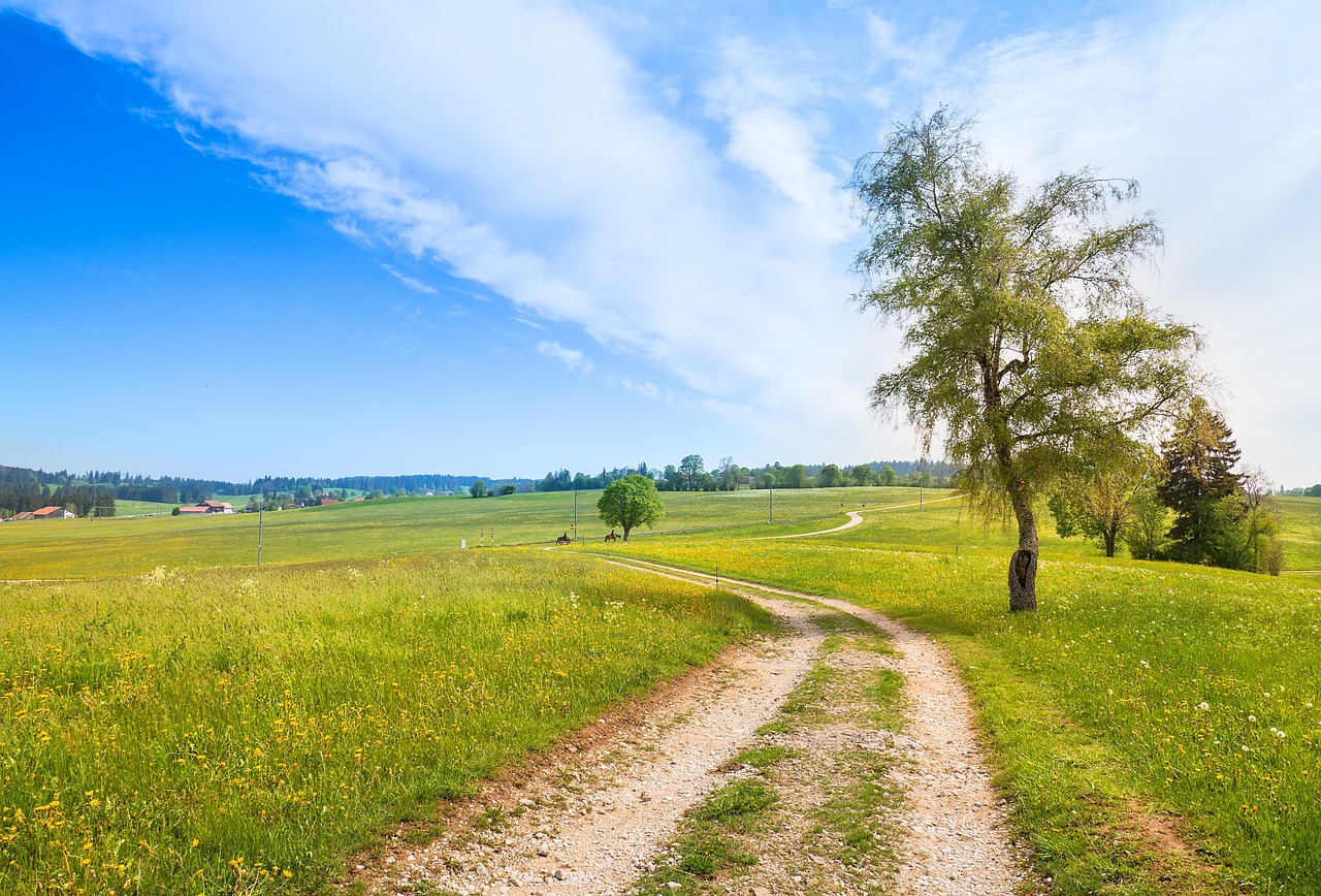 5 Steps to Financing a Business Purchase