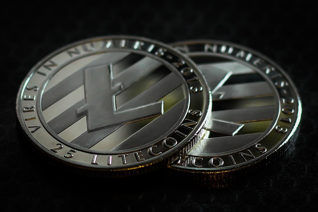 Litecoin, business, finance — Bitcoin - king of cryptocurrencies