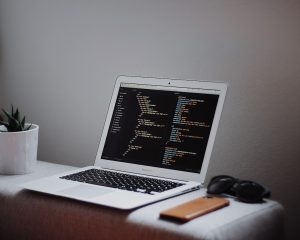 Building a Sustainable Career Path in Information Technology