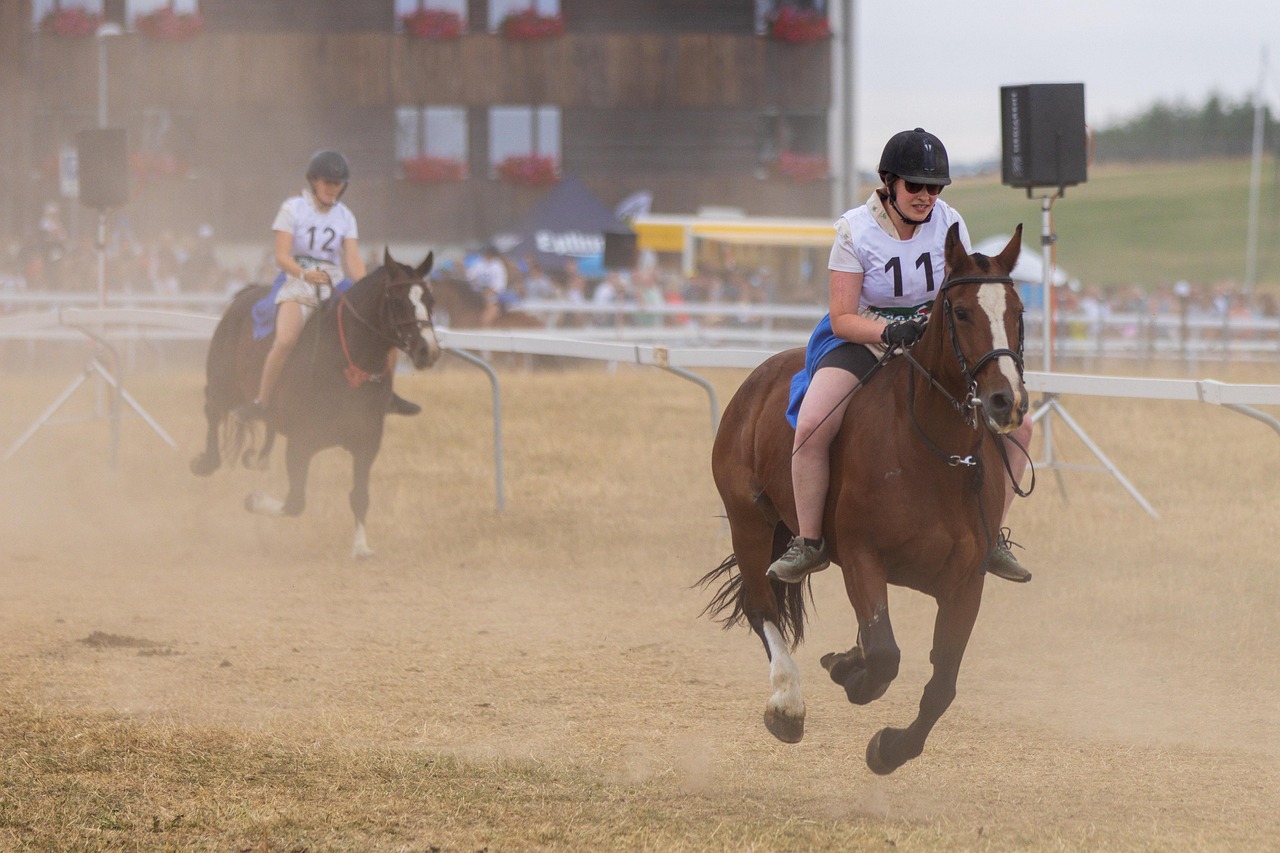 Horse race, horses, run — Client Success Stories: How Boulder Patent Law Firm Protects Innovations