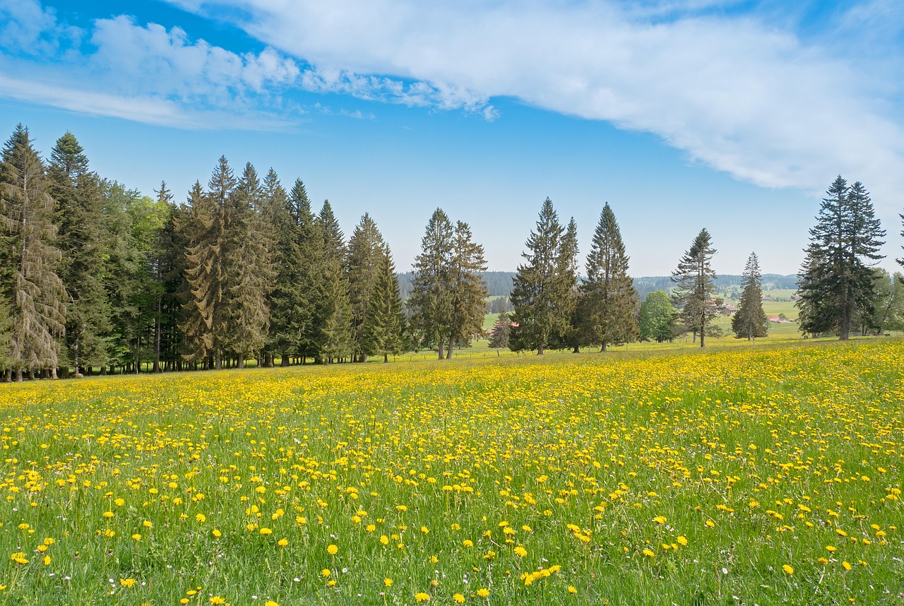 Jura hike, law, swiss jura — Sexual harassment in the workplace varies in multiple forms