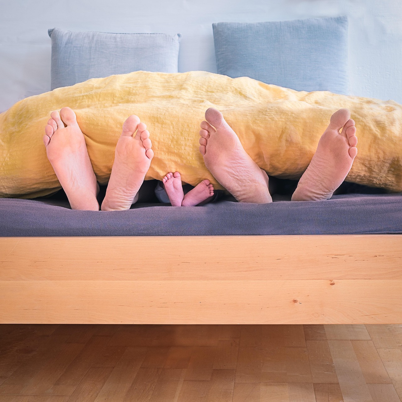 Wooden, inside, wood — Sign Up Now And Play fun88 free