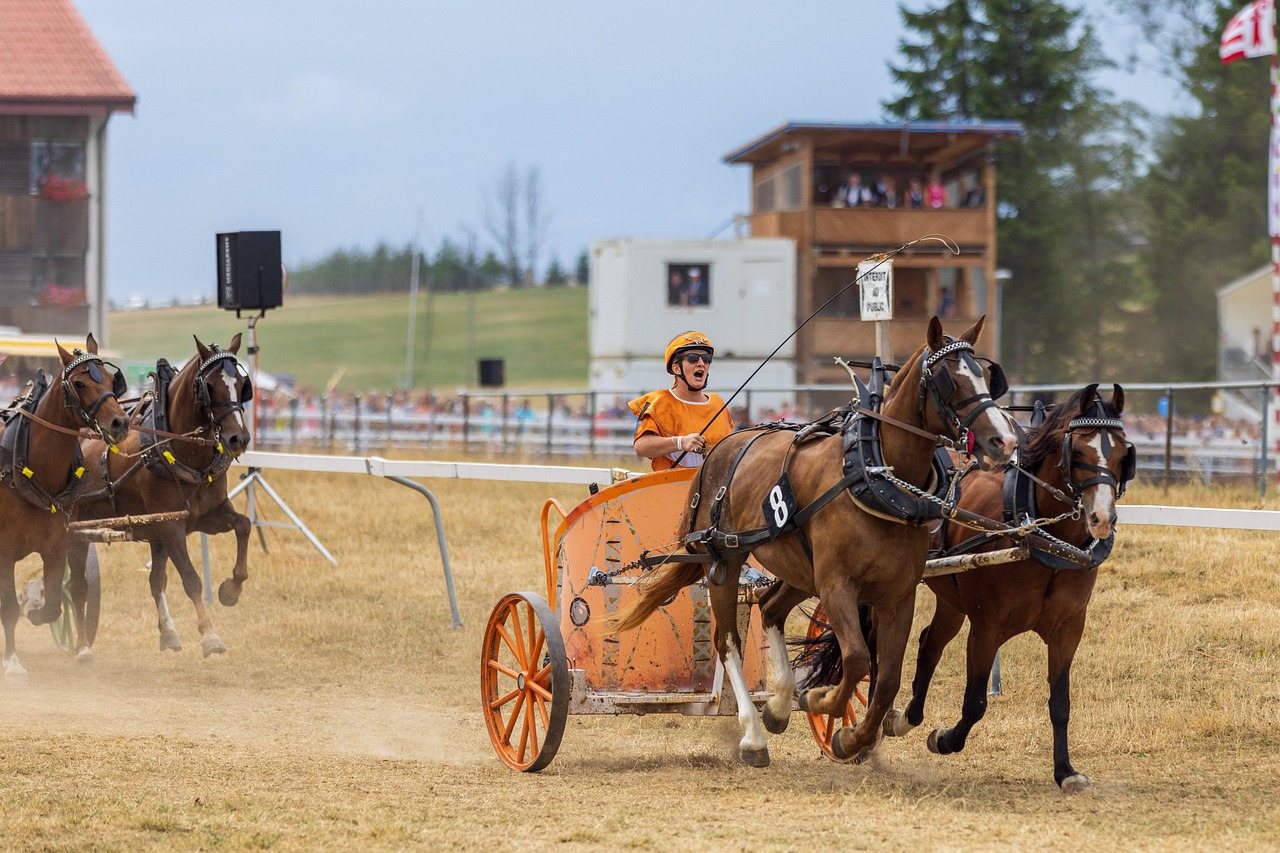 Horses, horse race, run — Why Should You Hire A DWI Lawyer? Check The Main Reasons Here!